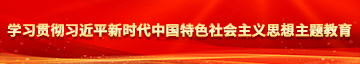 啊啊啊啊啊啊艹菊花好爽啊视频学习贯彻习近平新时代中国特色社会主义思想主题教育