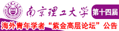 操逼视频了南京理工大学第十四届海外青年学者紫金论坛诚邀海内外英才！